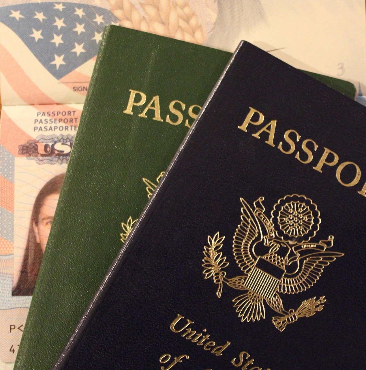 passport, united states, documentation, travel, document, identification, immigration, id, citizenship, international, identity, official, trip, american, america, emigration, destination, traveler, tourist, visa, customs, identify, immigration, immigration, immigration, immigration, immigration, citizenship, citizenship, visa